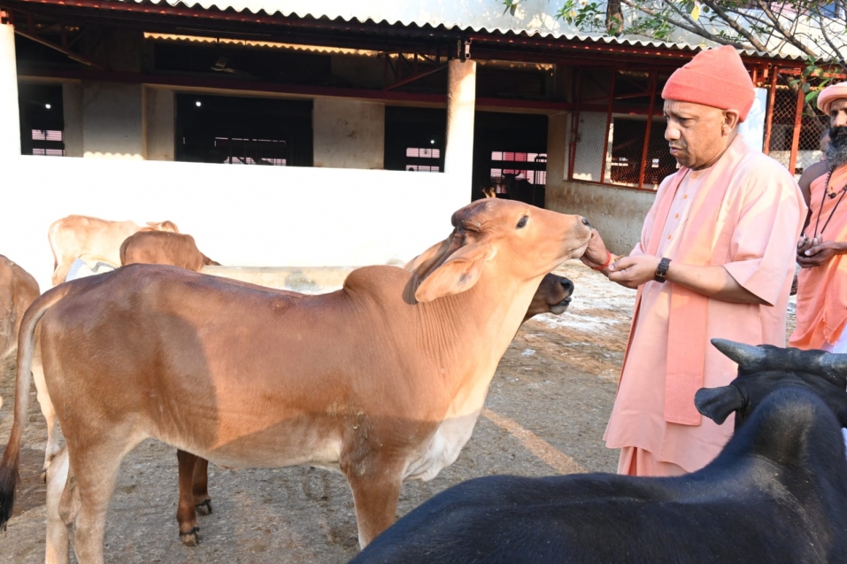नामों से पुकार कर, स्नेहिल थपकी देकर गायों-गोवंश को खूब दुलारा...