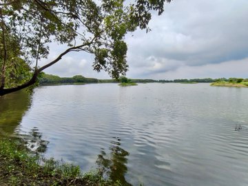 शेखा झील पक्षी अभयारण्य को भारत का 99वां रामसर स्थल घोषित...